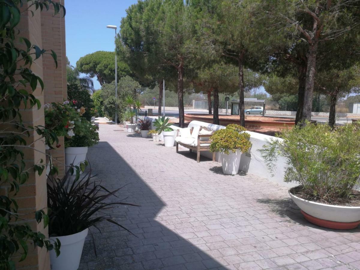 Hotel Marisma Sancti Petri Chiclana de la Frontera Buitenkant foto
